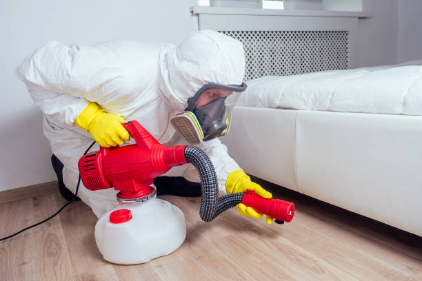 Real Estate Pest Inspections in Lawrenceville, NJ